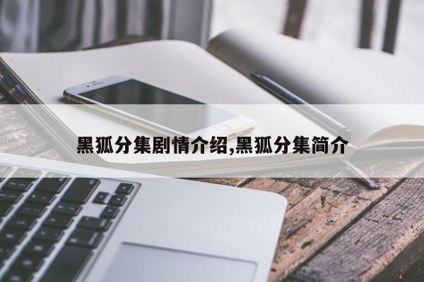 黑狐分集剧情介绍,黑狐分集简介
