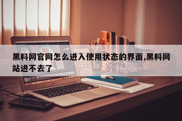黑料网官网怎么进入使用状态的界面,黑料网站进不去了