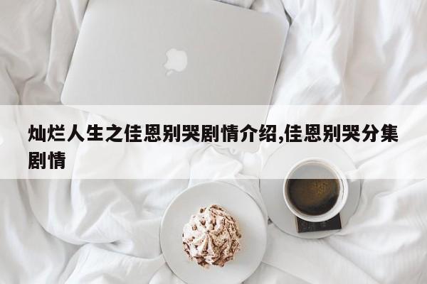 灿烂人生之佳恩别哭剧情介绍,佳恩别哭分集剧情